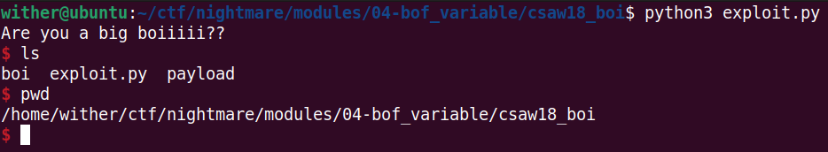 Shell output